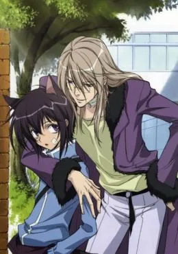 Episodio 18 Loveless